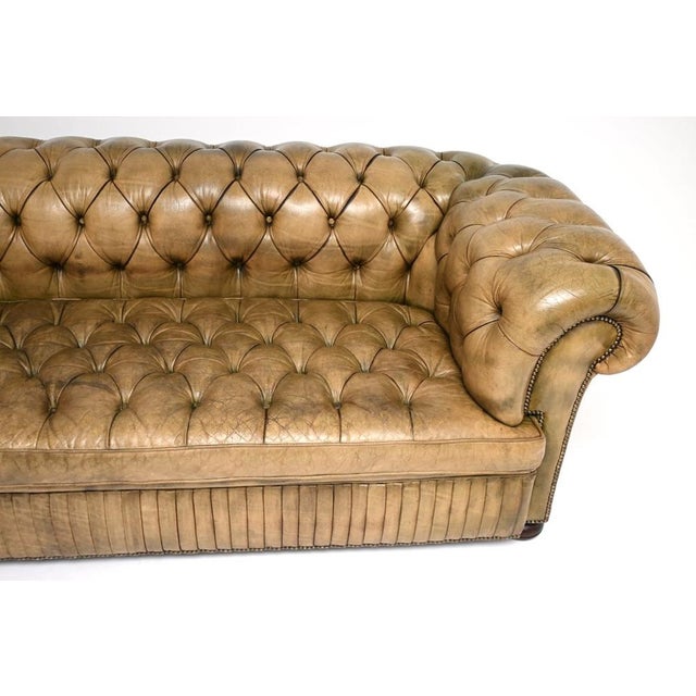 Brown Antique Deep-Buttoned Leather Chesterfield Sofa, 1930s For Sale - Image 8 of 14