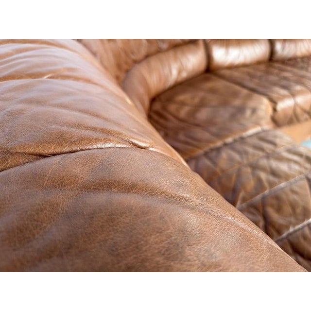 Animal Skin Mid-Century Brown Leather Modular Sofa, 1970s, Set of 6 For Sale - Image 7 of 11