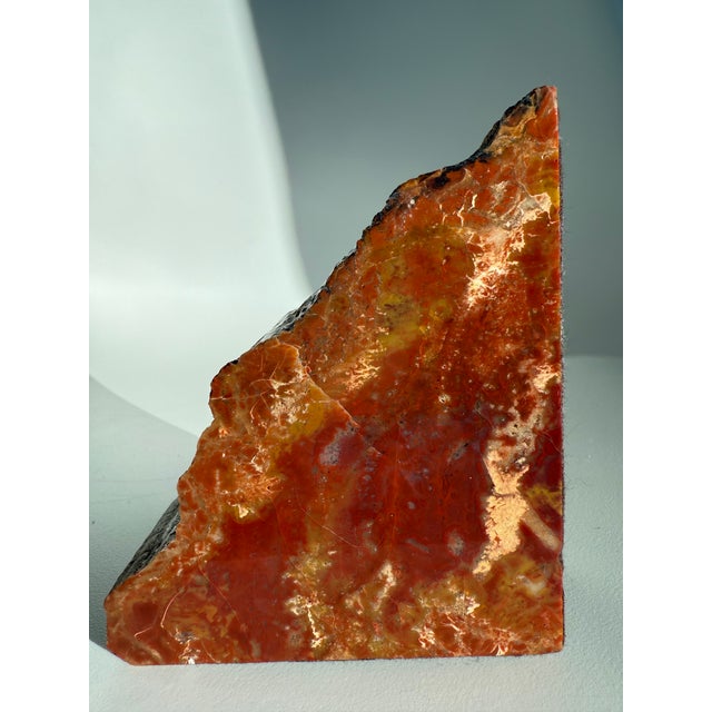 Wood Vintage MCM Pair of Petrified Wood Bookends Arizona Rainbow For Sale - Image 7 of 14