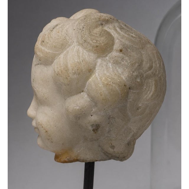 18th C or Earlier, Italian Grand Tour Marble Head of a Young Child W/ Cloche For Sale - Image 4 of 10