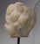18th C or Earlier, Italian Grand Tour Marble Head of a Young Child W/ Cloche For Sale - Image 4 of 10