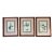 Antique 1837 English Botanical Framed Prints- Set of 3 For Sale