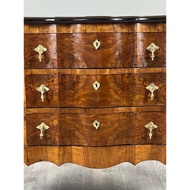 20th Century Louis XV Chest of Drawers in Walnut Burl Veneer For Sale - Image 3 of 12