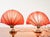 Hollywood Regency Brass Fan Table Lamps, 1970s, Set of 2 For Sale - Image 6 of 13