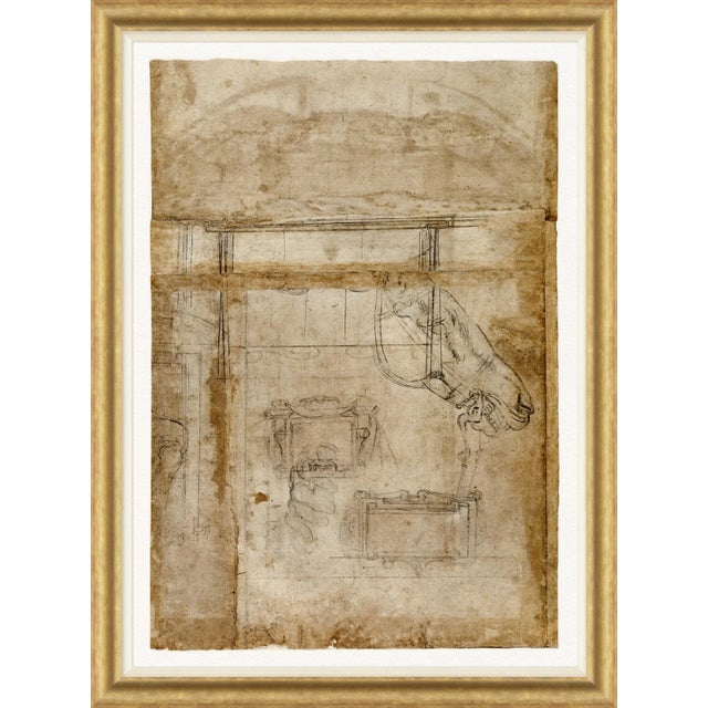 Traditional Il Profilo Framed Art Print by David Phoenix For Sale - Image 3 of 3