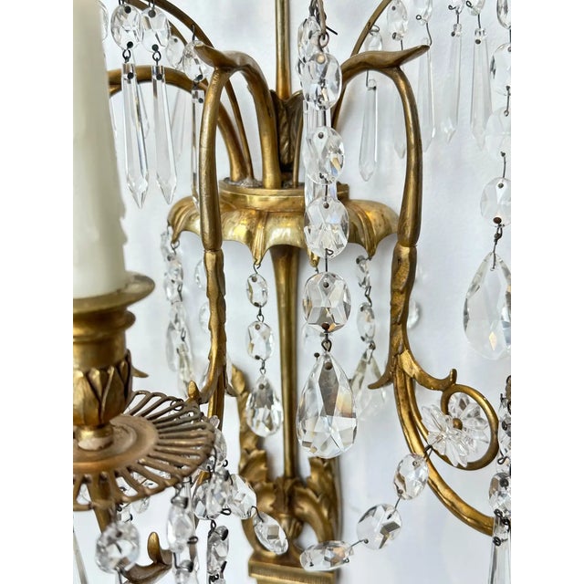 Late 19th Century Set of Four 19th Century Baltic Neoclassical Sconces For Sale - Image 5 of 8