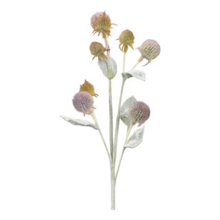 Thistle Foliage Spray (Set of 6) For Sale