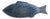 Juliska Berry & Thread Delft Fish Platter For Sale