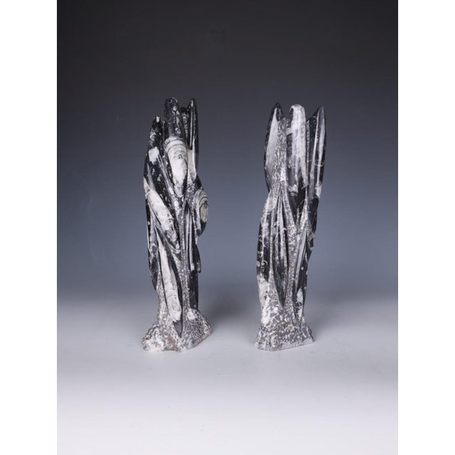 Pair of Hand-Carved Orthoceras Fossil Sculptures Black Fossilised Limestone • Morocco • Contemporary Decorative Sculpture...
