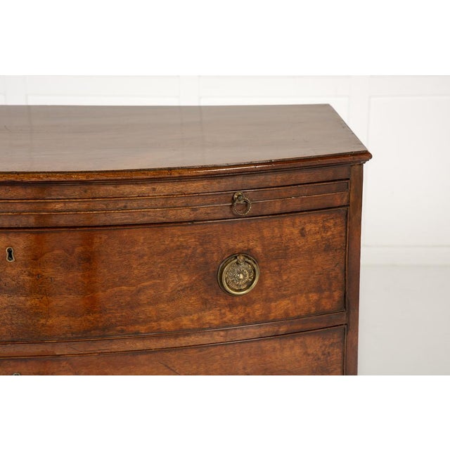Wood 19th Century Regency English Mahogany Bow Fronted Chest of Drawers For Sale - Image 7 of 9