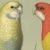 French Antique '2 Parrots' Archival Print For Sale - Image 3 of 3