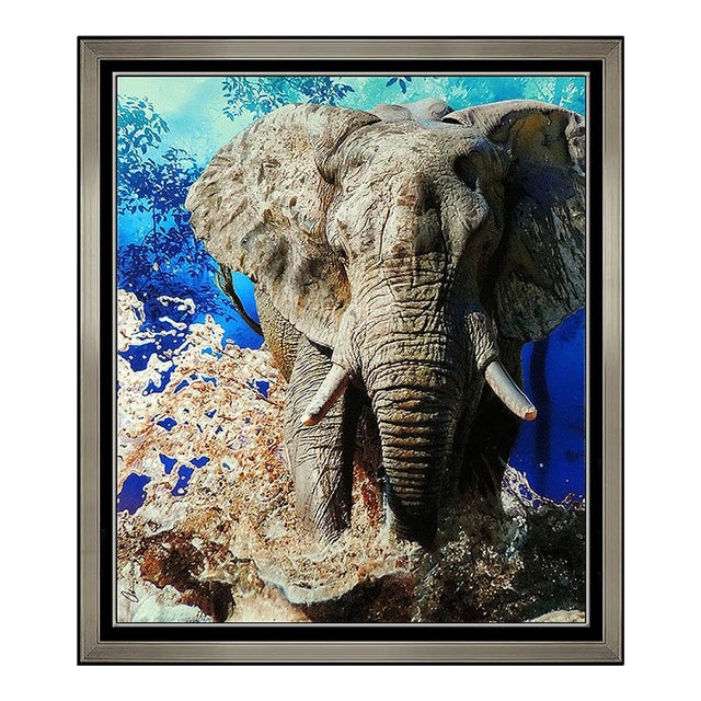 Late 20th Century The Wild Ones - Elephant Walk, Adam Scott Rote For Sale