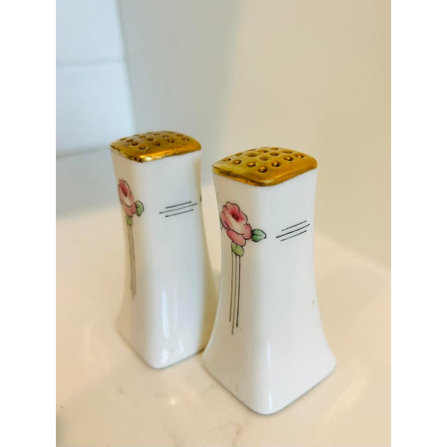 Vintage French Limoges Art Nouveau Salt and Pepper Shakers a Pair