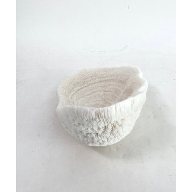 Natural White Bowl Coral Specimen Coastal Home Decor For Sale - Image 4 of 6