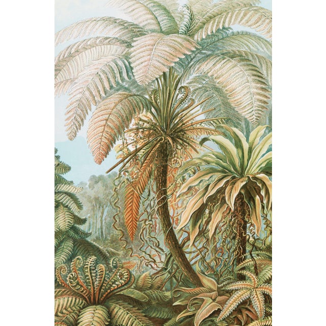 Vintage botanical artwork reproduced and refined for modern printing. Featuring layered fern fronds, tropical palm-like...