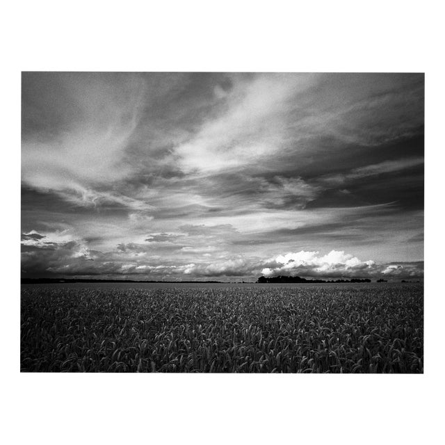 Paul Cooklin, Wheat Field, Occold II, Edition of 50 For Sale