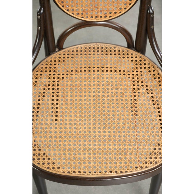 Vintage Long John Webbing Dining Chairs from Thonet, Set of 4 For Sale - Image 6 of 14