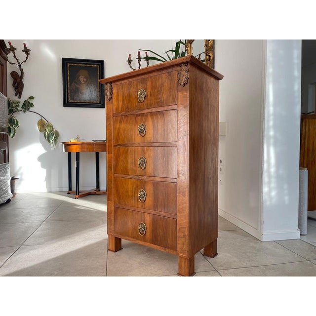 Biedermeier Shop Dresser in Wood For Sale - Image 4 of 14