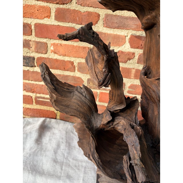 Vintage Teak Wood Root Sculpture on Metal Stand For Sale - Image 11 of 17
