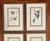 Gold Mid 20th Century Audubon Birds of America (First Edition Royal Octavo) | Antique Prints of Rare Songbird Collection- Set of 4, Framed For Sale - Image 8 of 12
