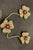 2020s Natural 12 Ct Burma Ruby & 30 Ct Diamond Trio Pin 18 Karat Yellow Gold 78gm For Sale - Image 5 of 8