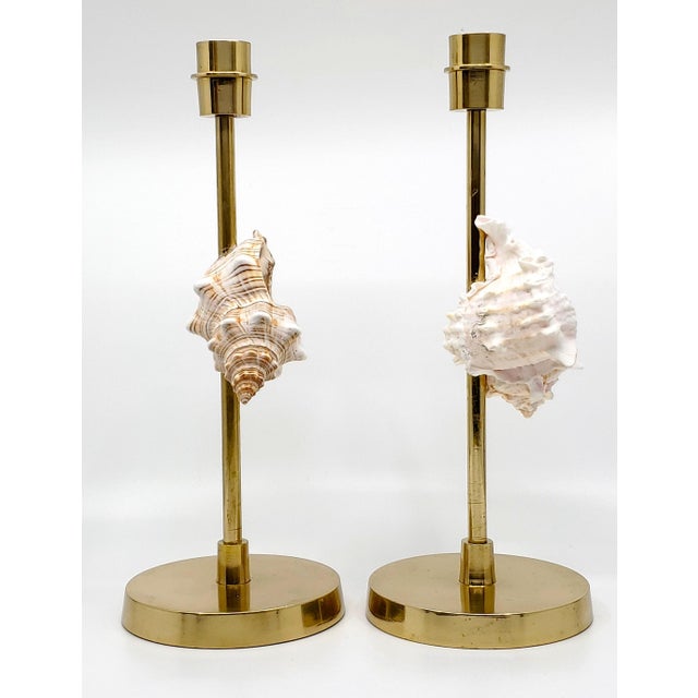 Brass Candlesticks Shells Seashells For Sale In Miami - Image 6 of 15