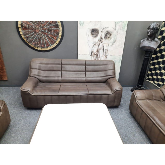 Animal Skin DS 84 Seating in Buffalo Leather from de Sede, 1970s, Set of 4 For Sale - Image 7 of 15