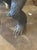Plastic Vintage Carved Gorilla For Sale - Image 7 of 9