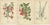 Late 19th Century Globe Fuchsia and Fuchsia Fulgens and Gaura Lindheimeri, 1897, Paper, Set of 3 For Sale - Image 5 of 6