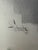 1940s 1940s Original Signed Graphite Illustration of Boxer Dog Portrait, 11 × 9 In. For Sale - Image 5 of 6