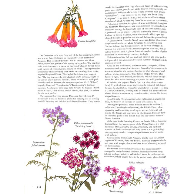 "Flowers of the World" Book 1972 Perry, Frances, Greenwood, Leslie [Illustrated By] For Sale - Image 9 of 9