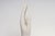 Vintage Ceramic Left Hand Glove Mold by General Porcelain - Medium Size For Sale - Image 10 of 18