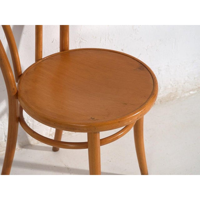 Antique Dining Chairs from Ton, Set of 8 For Sale - Image 10 of 18