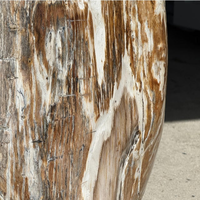 Large Side Table in White and Grey Petrified Wood For Sale - Image 17 of 18