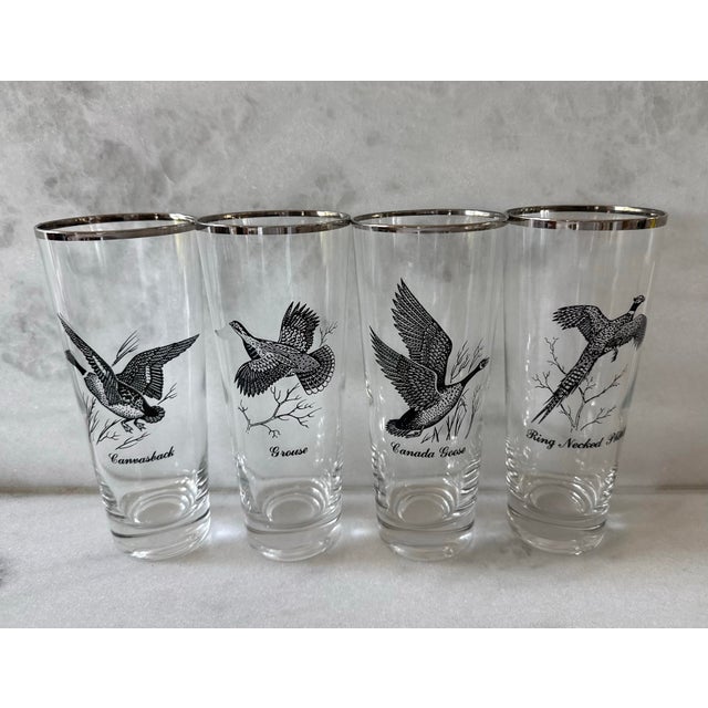 Set of 8 vintage Federal Glass "Sportsman" series highball or tumbler glasses featuring black game bird graphics and a...
