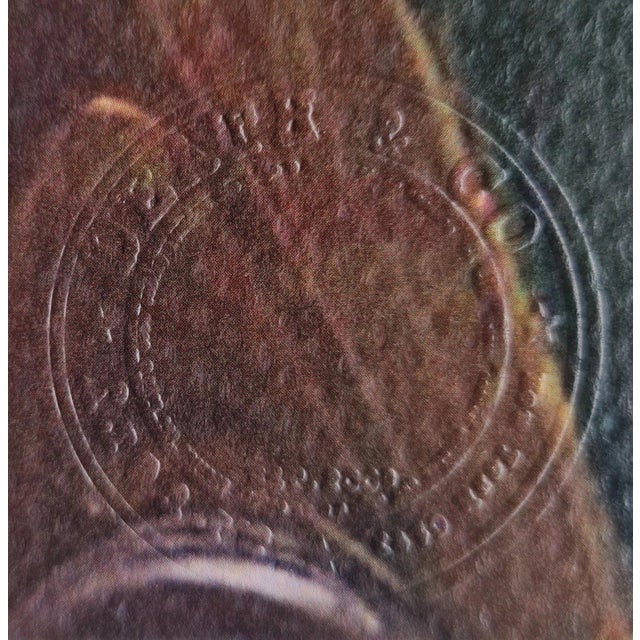 Paper Death Nyc - Snow White - Limited Edition With Certificate For Sale - Image 7 of 9