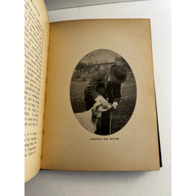 Blue 1906 Modern Breaking Setters Pointers Dog Book For Sale - Image 8 of 10
