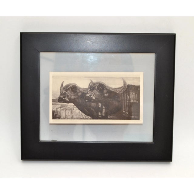 Vintage Sketch from a Book "Peinture & dessins de Paul Jouve" For Sale - Image 9 of 9