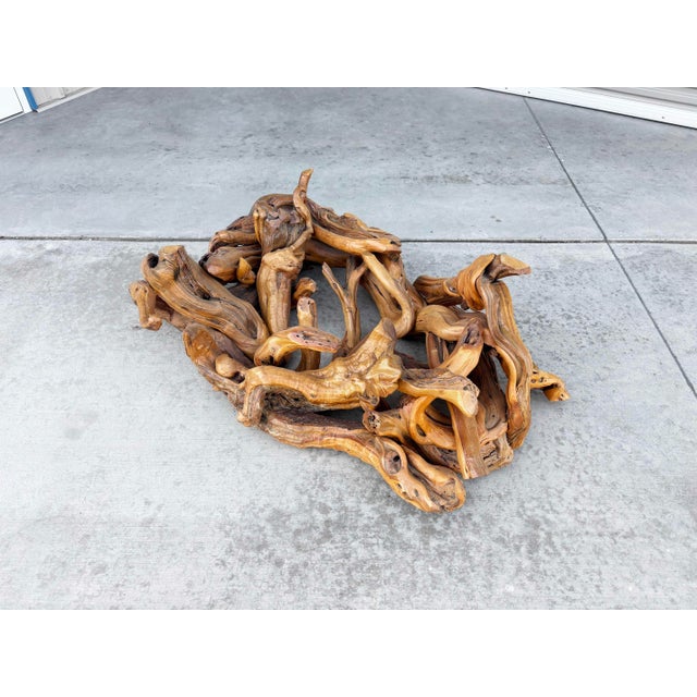 1960s Mid-Century Modern Driftwood Coffee Table With Freeform Glass Top For Sale - Image 15 of 15