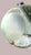 Glass Classic Artisan Heavy Bubble Glass Dolphin Paperweight For Sale - Image 7 of 11