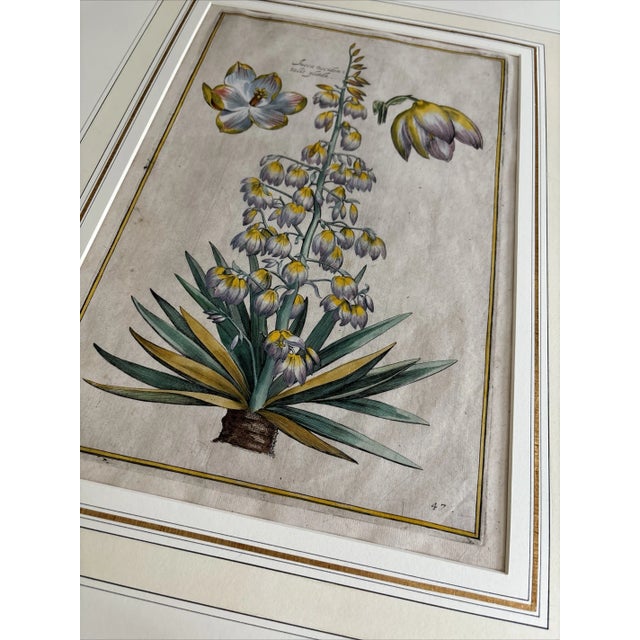 Daniel Rabel (French 1578-1637) Two hand-colored copper engravings on laid paper Printed in 1622 in Paris Consolida...
