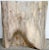 Petrified Pine Dims: 20 1/2” x 18” x 18 1/4” tall Color: Ivory with Gold and Natural tones Petrified Wood Petrified wood...