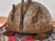19th Century Battle Helmet with Engraving and Ring Suspension For Sale - Image 4 of 8