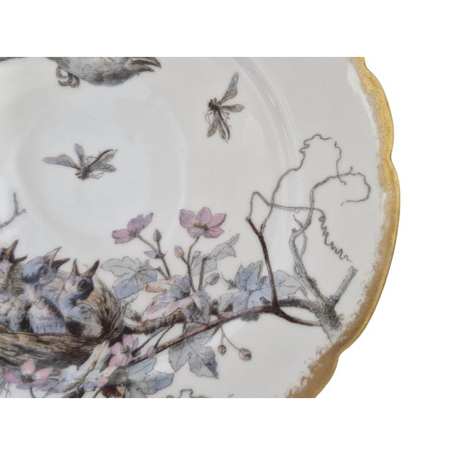 1900-limoges-porcelain-wall-plate-with-hand-painted-birds-and-insects