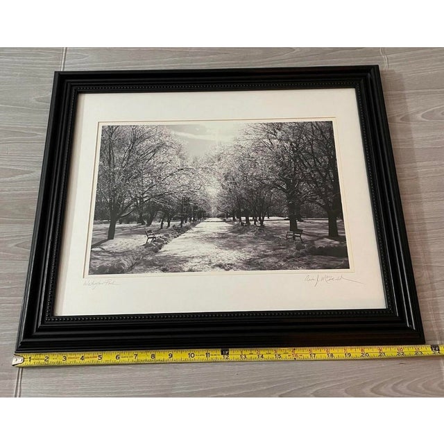 Printmaking Materials Late 20th Century Signed Gelatin Silver Print ‘Washington Park’ by Anita MacDonald – Framed Black & White Winter Landscape Photograph For Sale - Image 7 of 10