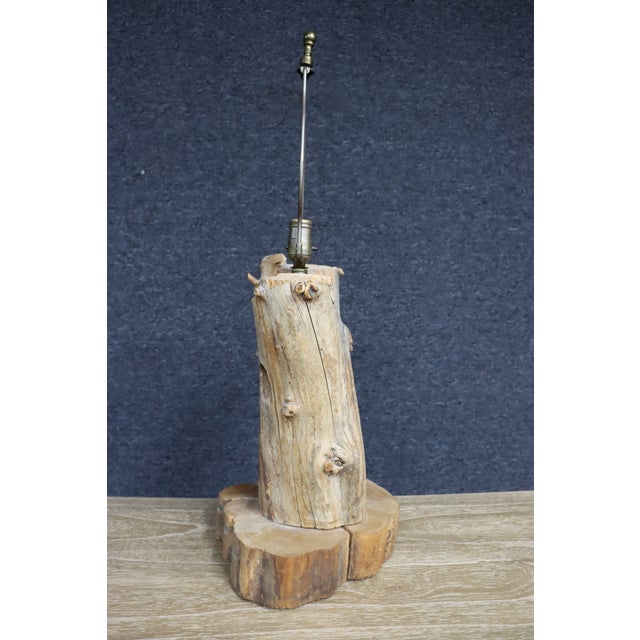 Natural Driftwood Table Lamp With Woodpecker Hole For Sale - Image 11 of 12