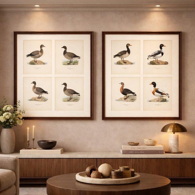 Antique Scandinavian Goose Lithographs Set of 4, Svenska Fåglar, Sweden 1929 This elegant set of four Scandinavian...