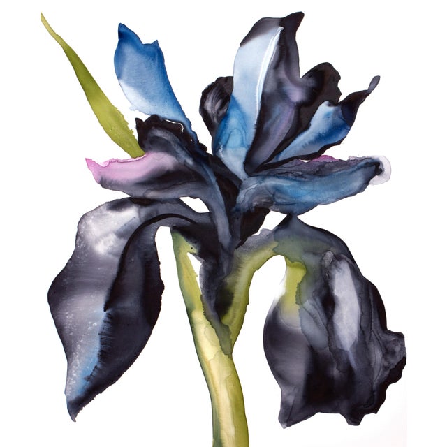 Original watercolor painting on canvas Artist: Elizabeth Becker Year: 2026 Size: 24" x 36" x .75" deep Signed on front...