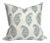 Paisley Celadon Pillow Cover, 22x22 Pillow For Sale