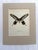 Realism Vintage 1965 Butterfly Print in 11x14 Mat: Paradis Rhodifer (Butler), EUC For Sale - Image 3 of 3